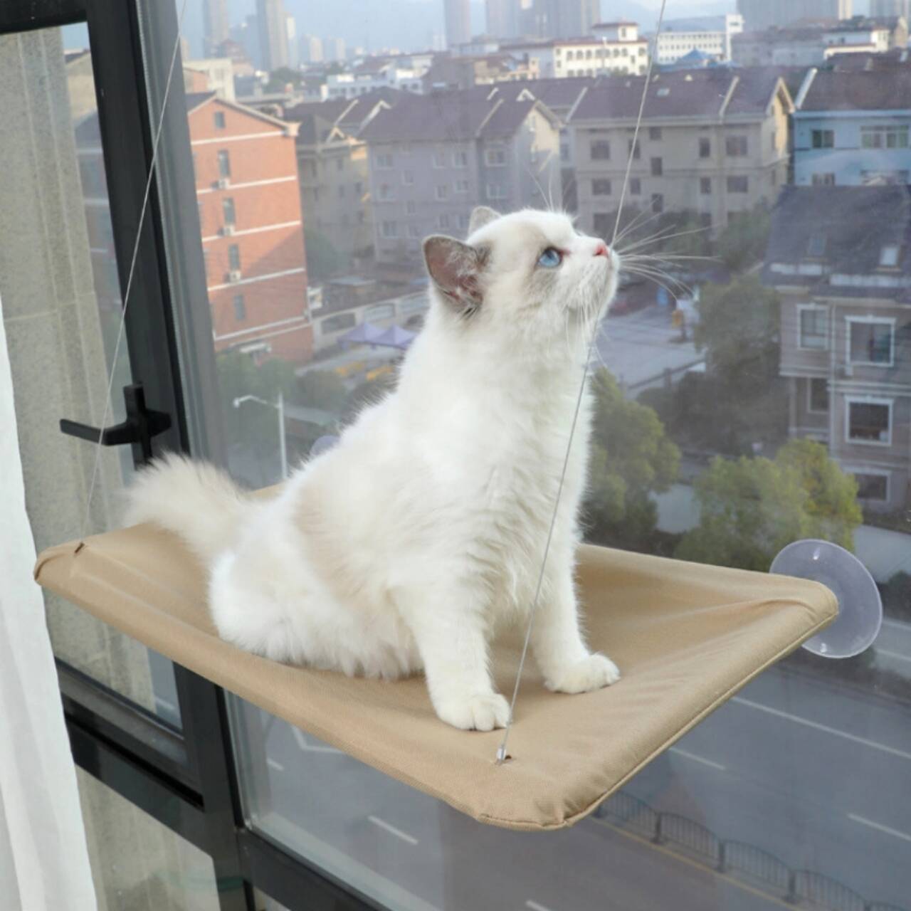 Cama de Gato Suspensa