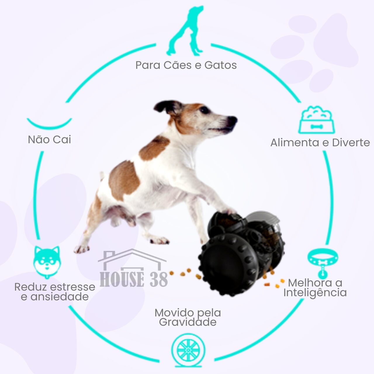 Robozinho Interativo para Petiscos