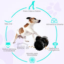 Robozinho Interativo para Petiscos